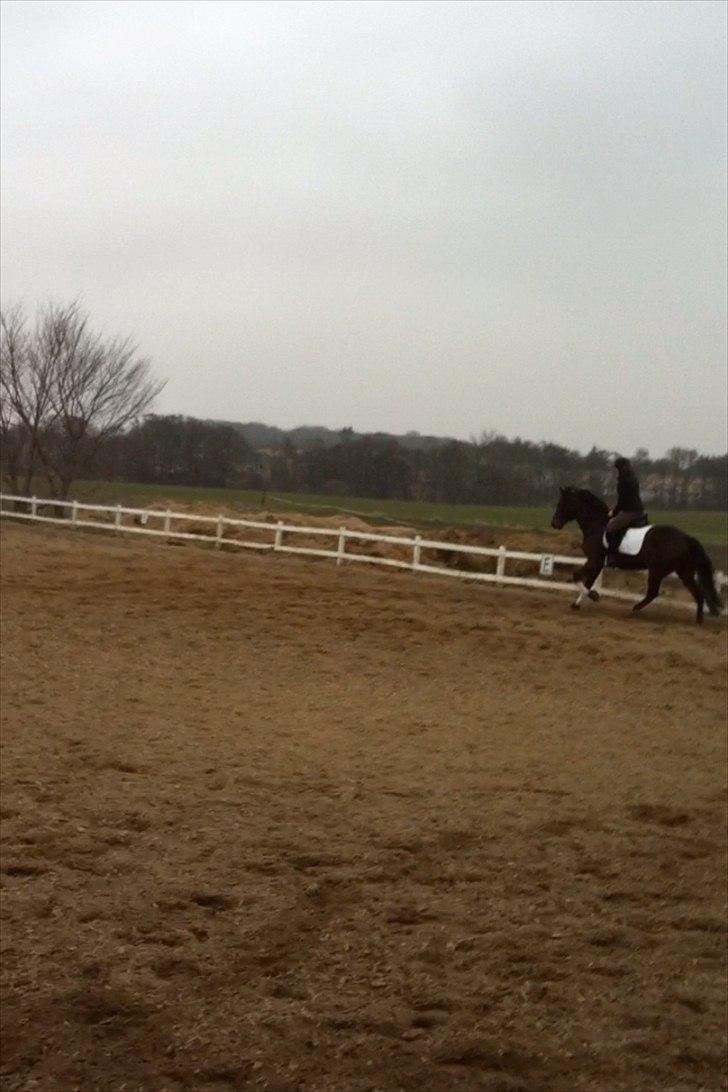 Traver Kenzo - My dream <3 billede 6