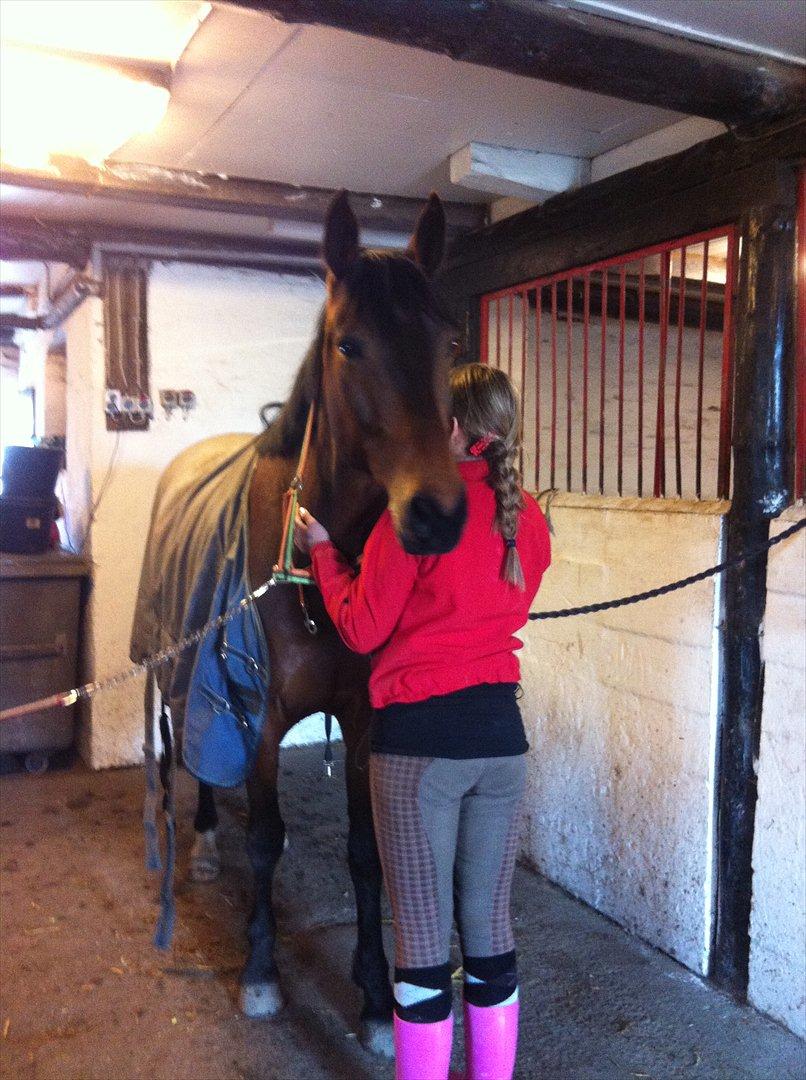 Traver Kenzo - My dream <3 billede 20