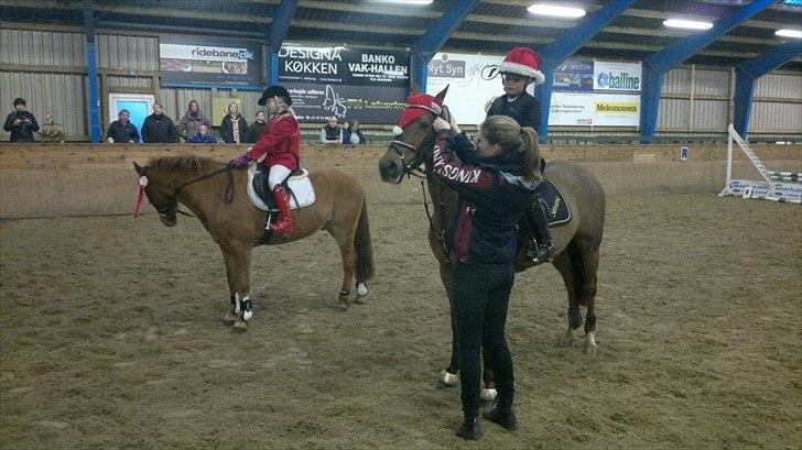 Hollandsk Sportspony Karamba - vinder 3. afd af klubmesterskabet på VIR billede 8