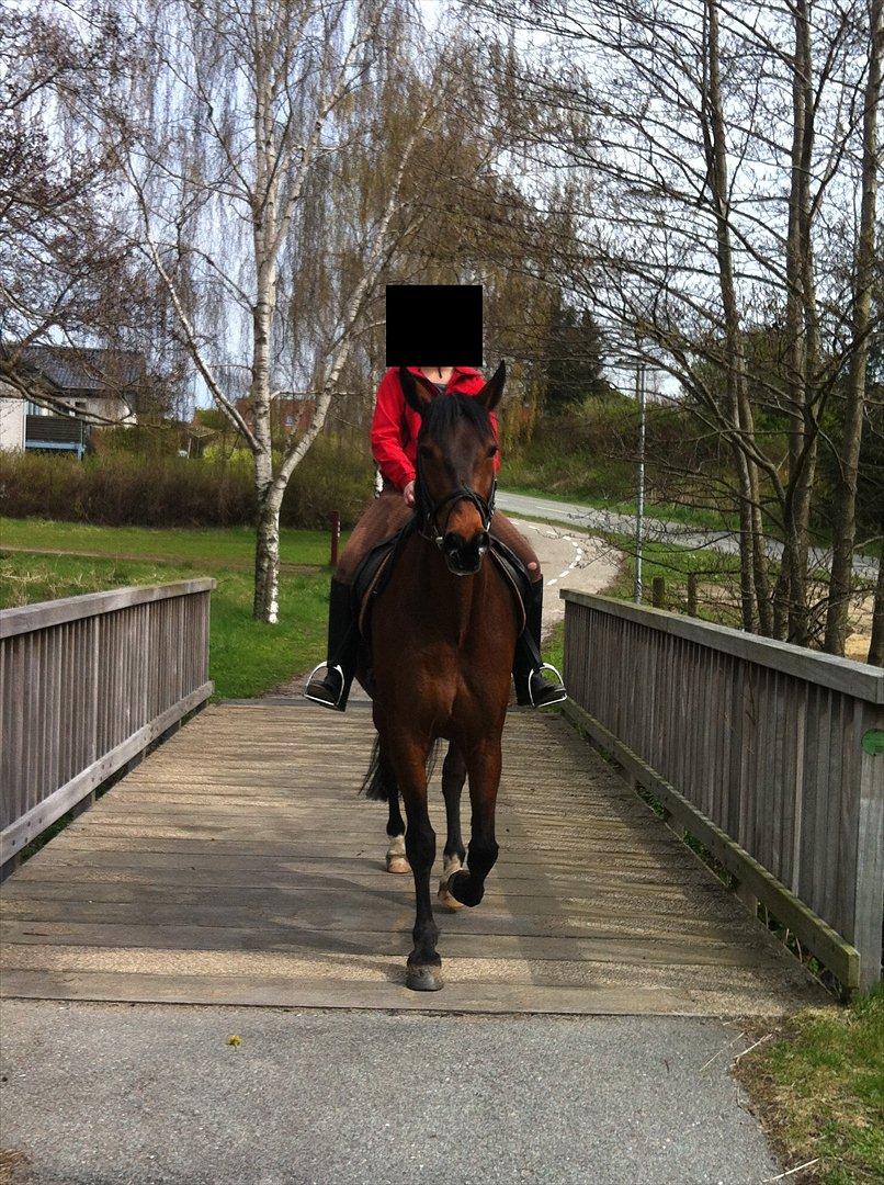 Traver Kenzo - My dream <3 billede 11