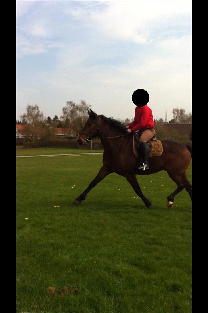 Traver Kenzo - My dream <3 billede 13