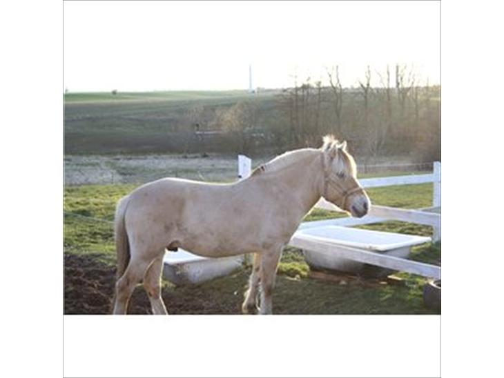 {{currentPhoto.altText}} billede {{currentPhoto.number}}