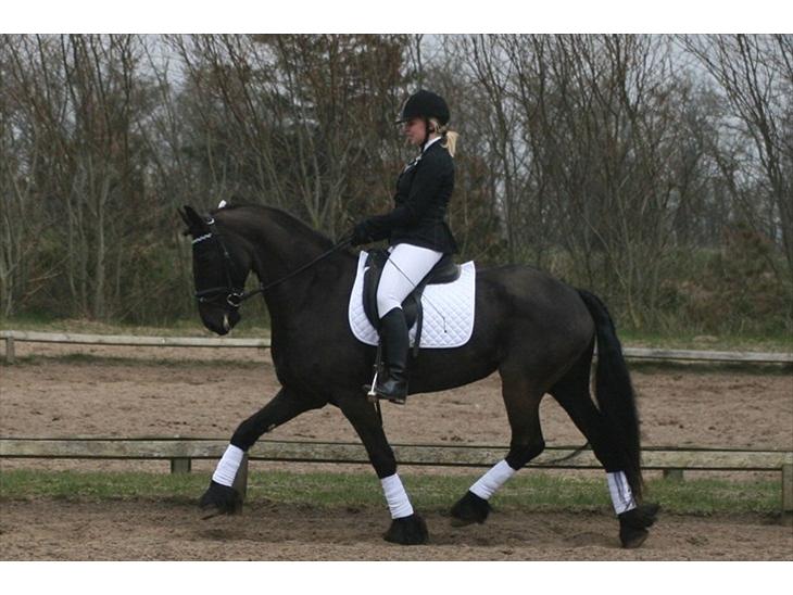 {{currentPhoto.altText}} billede {{currentPhoto.number}}