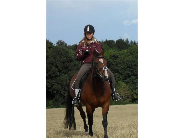 {{currentPhoto.altText}} billede {{currentPhoto.number}}