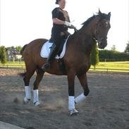 Oldenborg 7 Up Lergravgaard