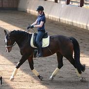 Hannoveraner Bækgårdens Hayway