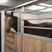 Oldenborg Cathrine af Siem