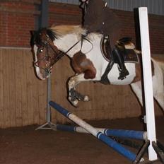 Anden særlig race All Star