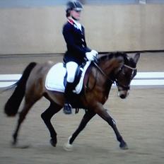 DSP Svanfolks Rebecca