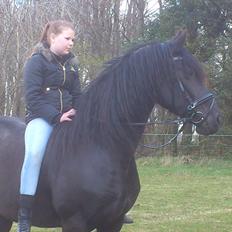 Frieser Joukje W. #SOLGT#