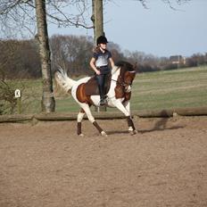 Anden særlig race Pretty<'3 - SOLGT