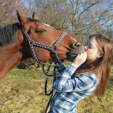 New Forest Thrustfull