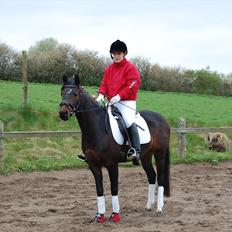 Pinto Storgaards Isabella