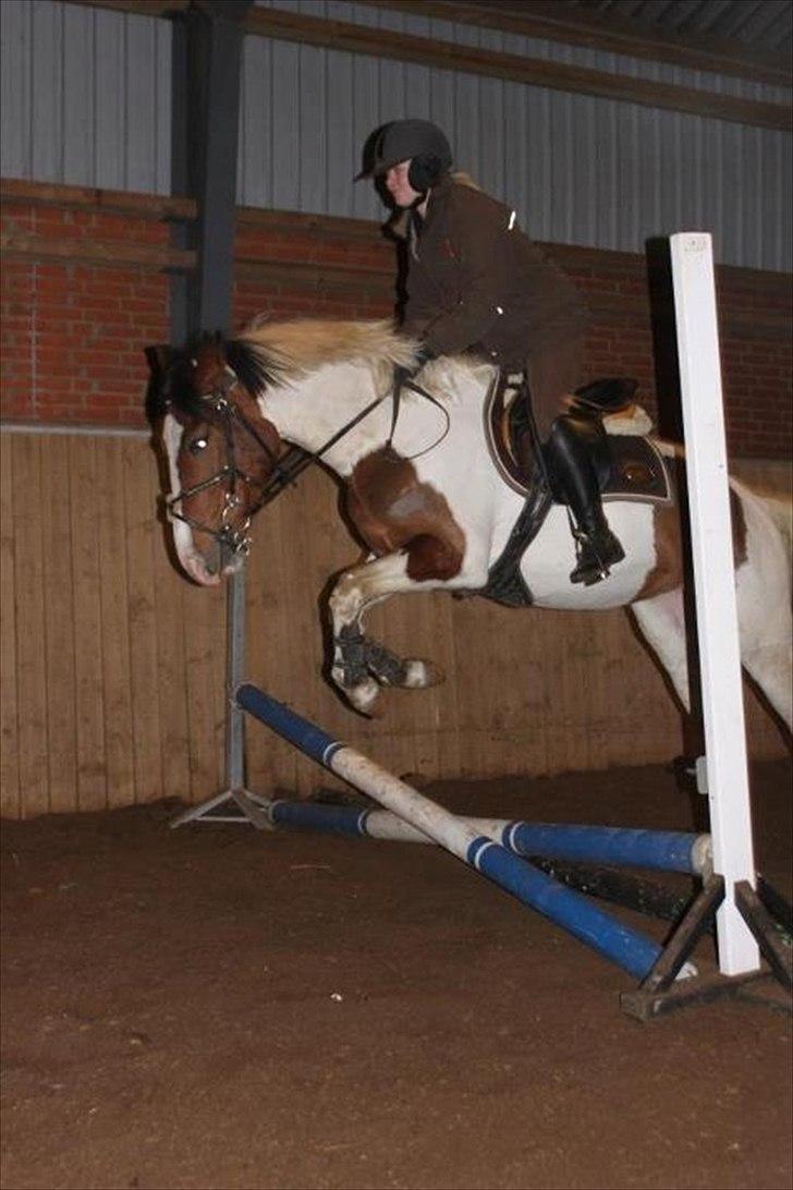 Anden særlig race All Star - Første gang vi springer :D billede 3