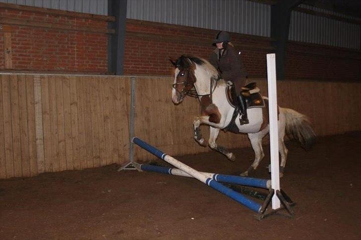 Anden særlig race All Star - Opvarmningsspring :D billede 10