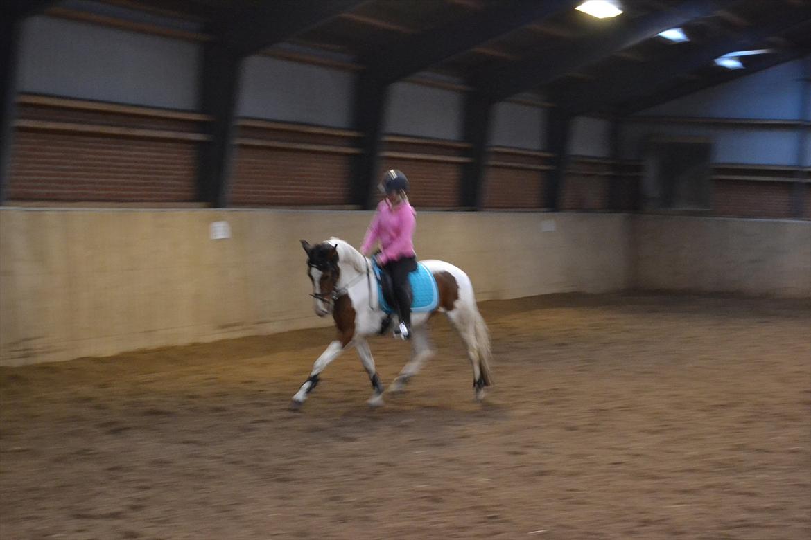 Anden særlig race All Star billede 2