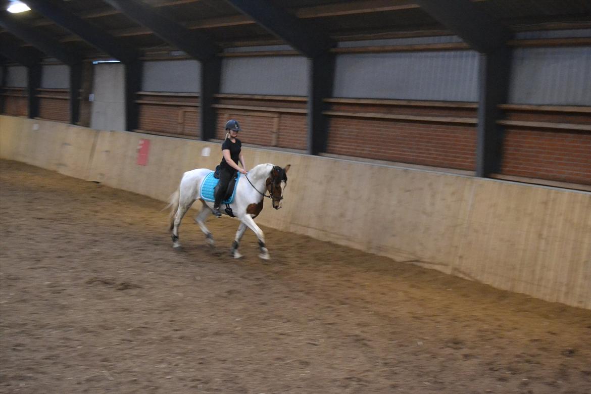 Anden særlig race All Star billede 6