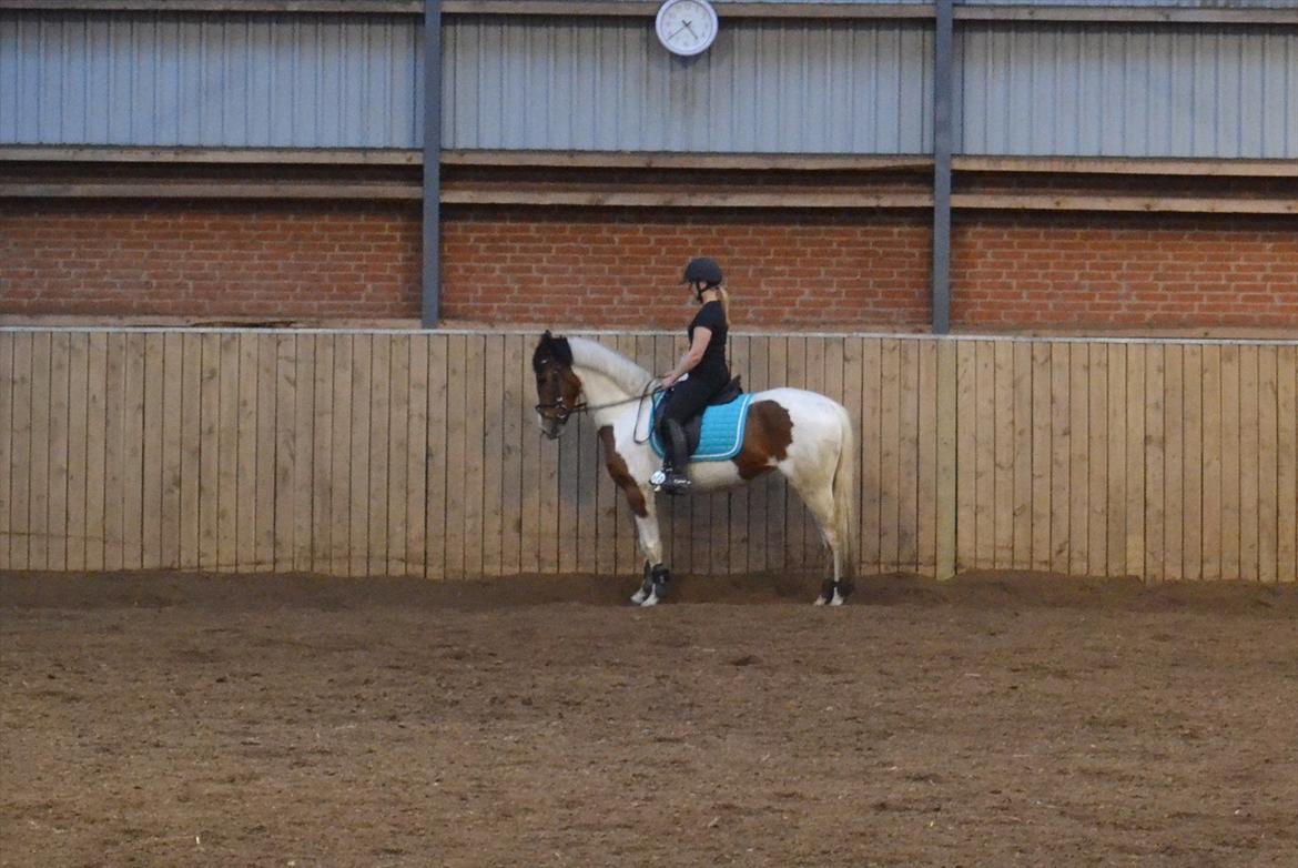 Anden særlig race All Star billede 5