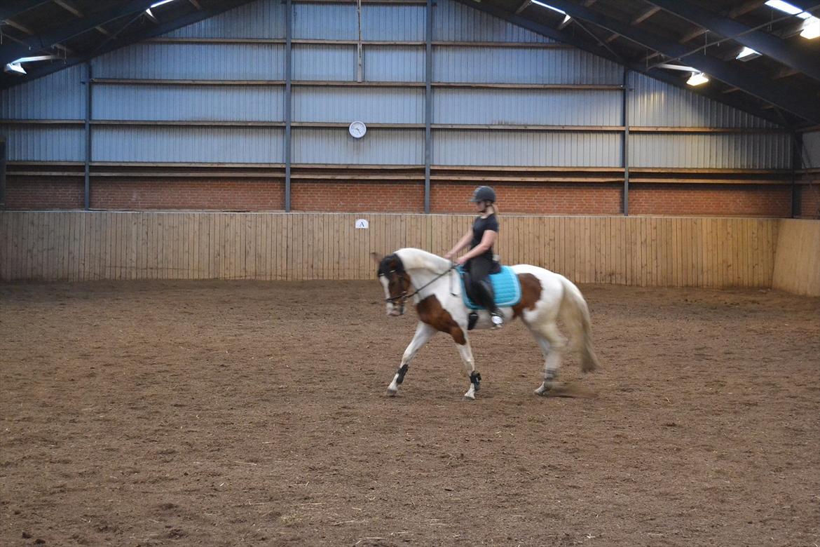 Anden særlig race All Star billede 11