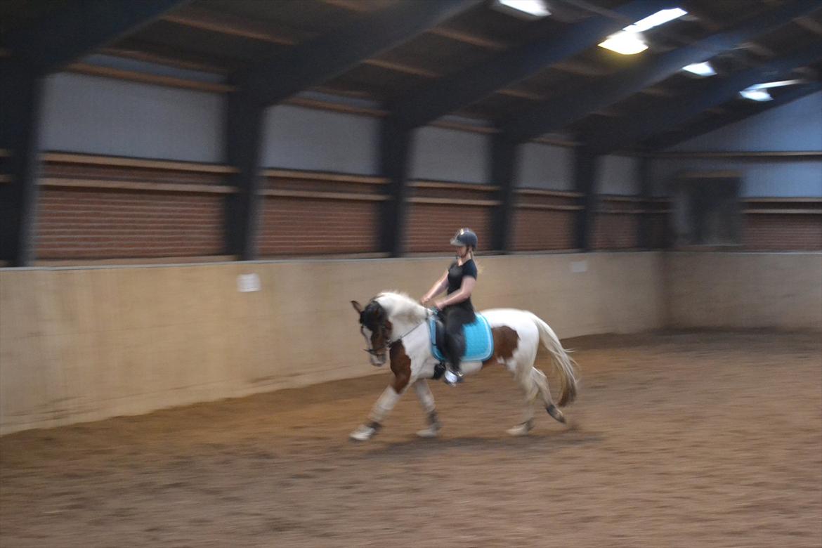 Anden særlig race All Star billede 13