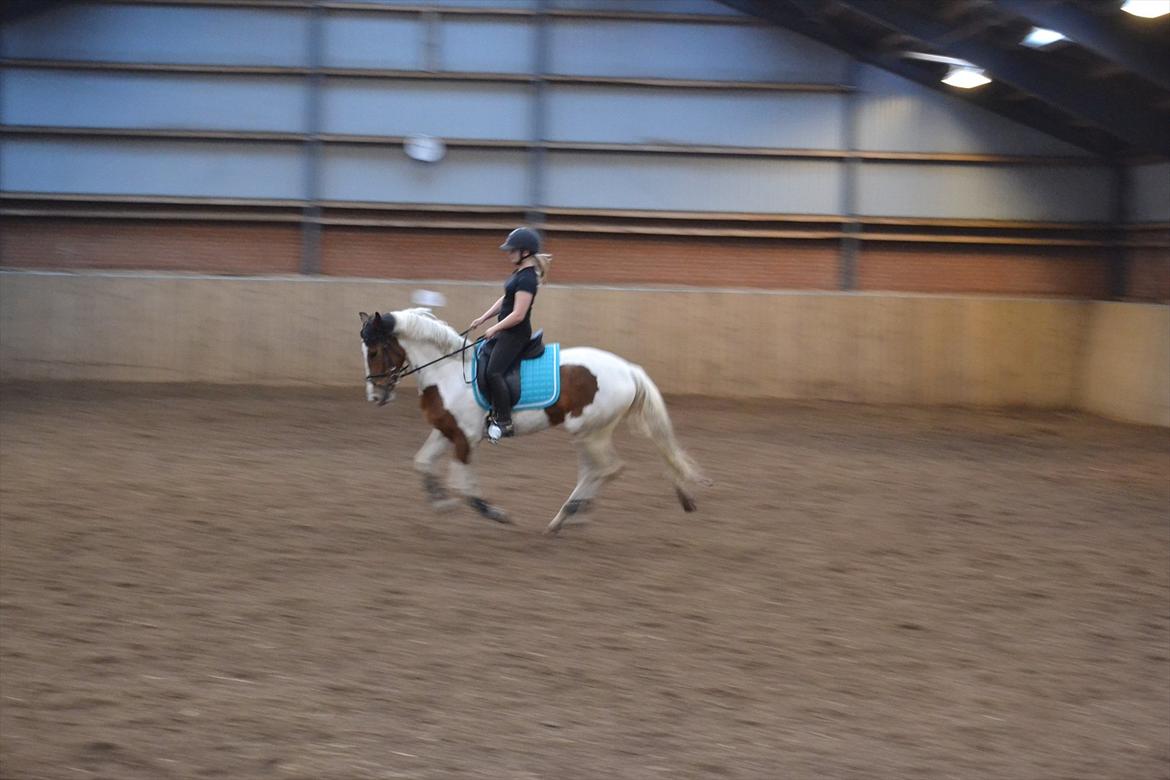 Anden særlig race All Star billede 14