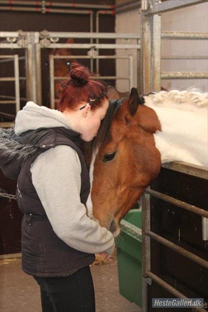 Anden særlig race All Star - Stine og All Star :D billede 4