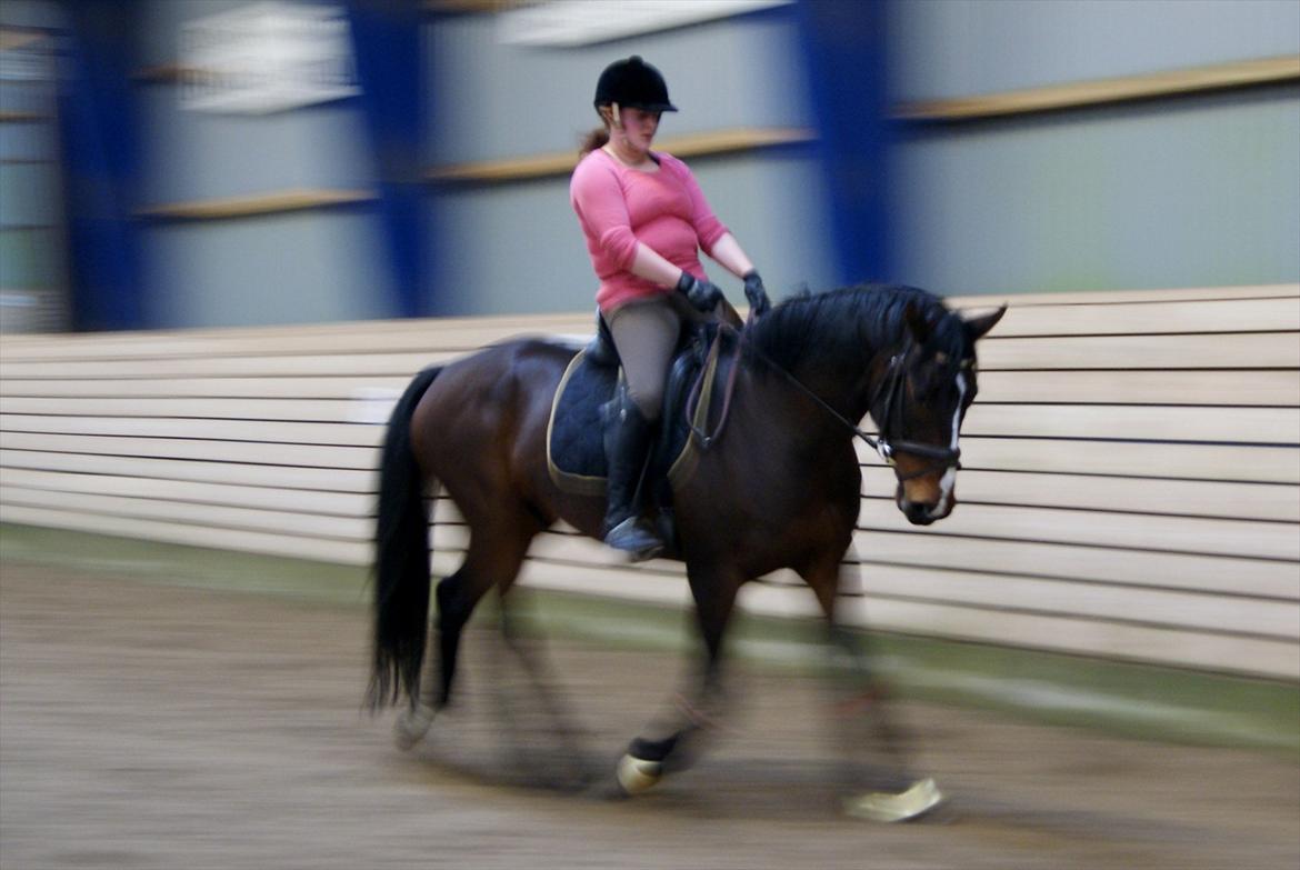 Westfaler Nisgaards Fandango - 23.04.2012 Den hidtil BEDSTE undervisningstime ever<3
 billede 11