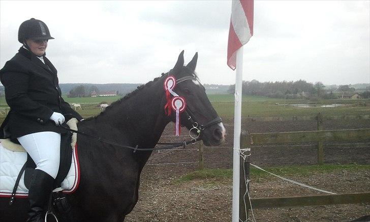 Oldenborg Cody MITET&ALT <3 - 2 første pladser i LC1 og Lc2 :)
Er så stolt af ham  billede 6