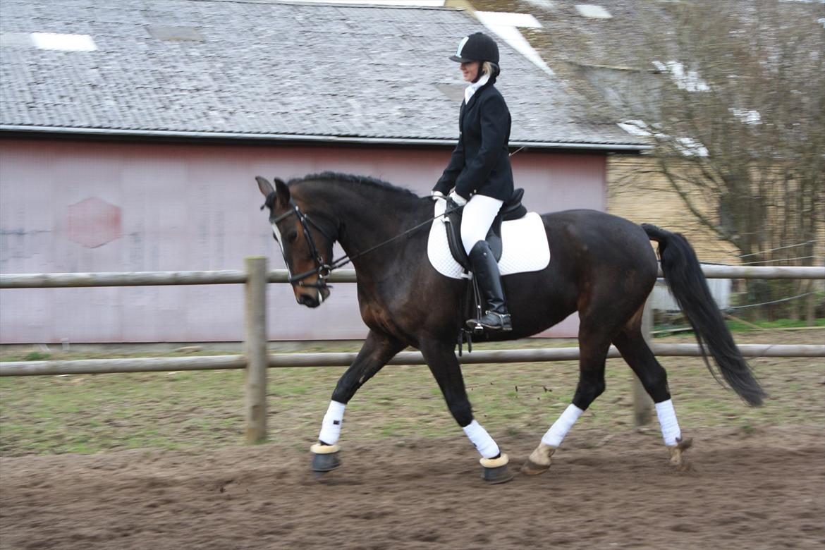 Oldenborg Rosenhavens Sindi - sindi og jeg til vores 2. stævne <3  dejlige hest! :* billede 13