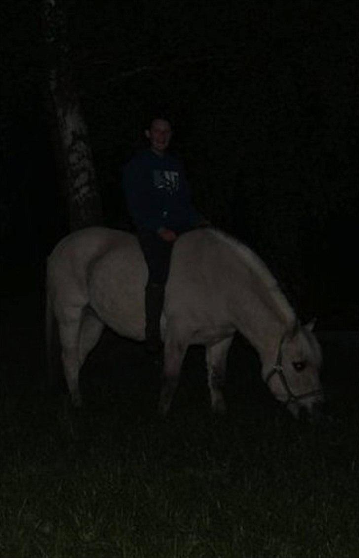 Anden særlig race Milo (Den fede) billede 17