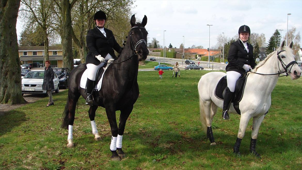 Pinto Savannah - Putten og Rosita til Katrines konfirmation <3 billede 14