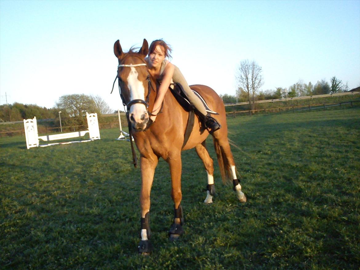 Trakehner Portlandas - # 7 Vi hygger. billede 7