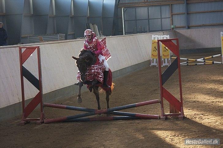 DSP Nicky<3 - Julestævne i HER.
40 cm. kostumespring uden sadel. (vi var en jule gave) :-D
Foto: Emma billede 6