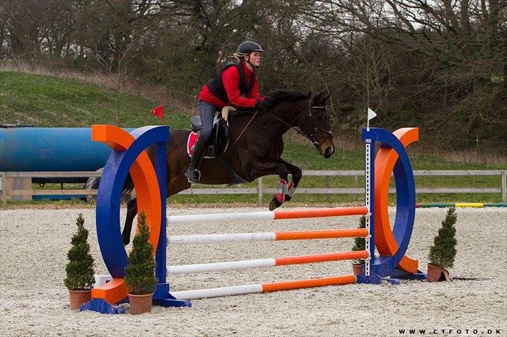 Anden særlig race Afrodite - Riderscup D. 18/4 2012. <3 billede 1