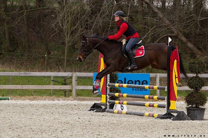 Anden særlig race Afrodite - Riderscup <3 billede 17