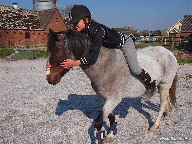 Pinto Pandora<3 - Vi kan ogs' ride ude noget.. <3 LOVE YOU SO MUCH<3<3<3 - På gensyn :-DD
 billede 12