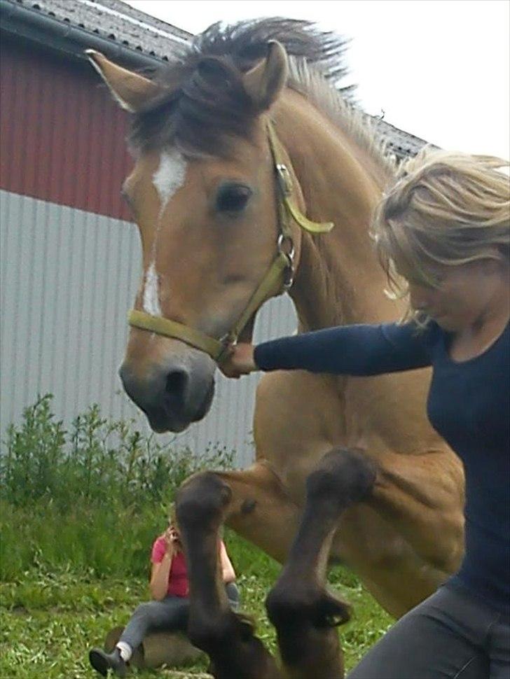 Anden særlig race leika - hop højt :.-) billede 9