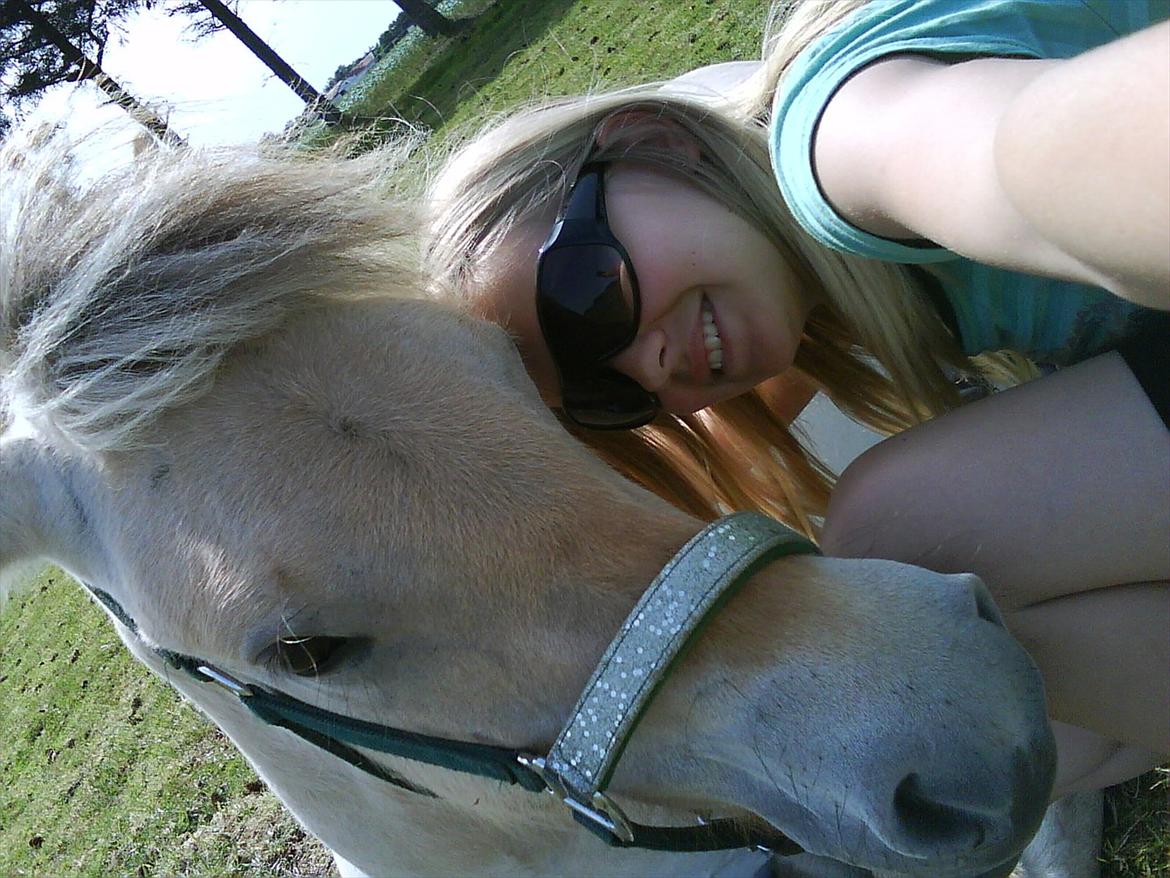 Fjordhest Stella*givet til moster*  billede 16