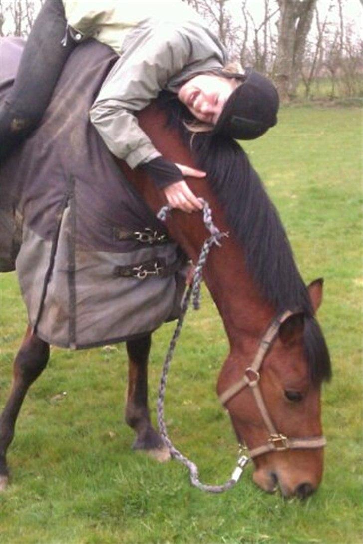 Pinto Moonstar - Mmm MAD:)<3<3 billede 16