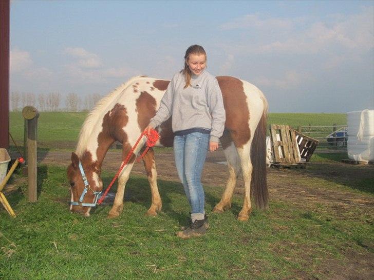 Anden særlig race Sheeba - Dagen hvor hun kom!:-D billede 17