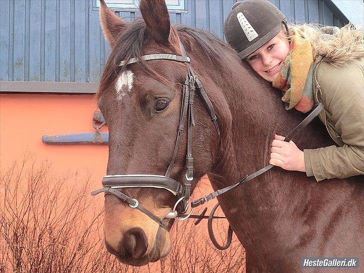 Anden særlig race Qato billede 18