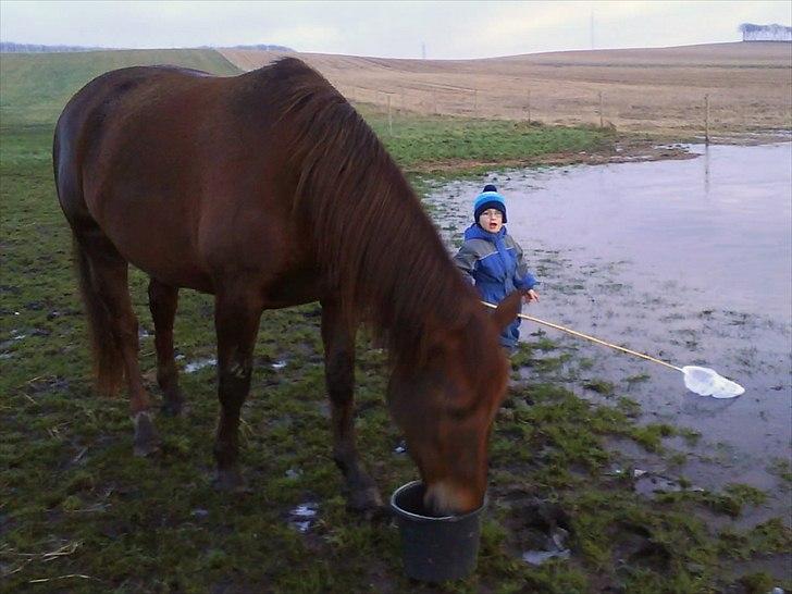 Oldenborg Cathrine af Siem - Sønnike på 3 år er taget på fisketur på folden – Cathrine tjekker fangsten! billede 4