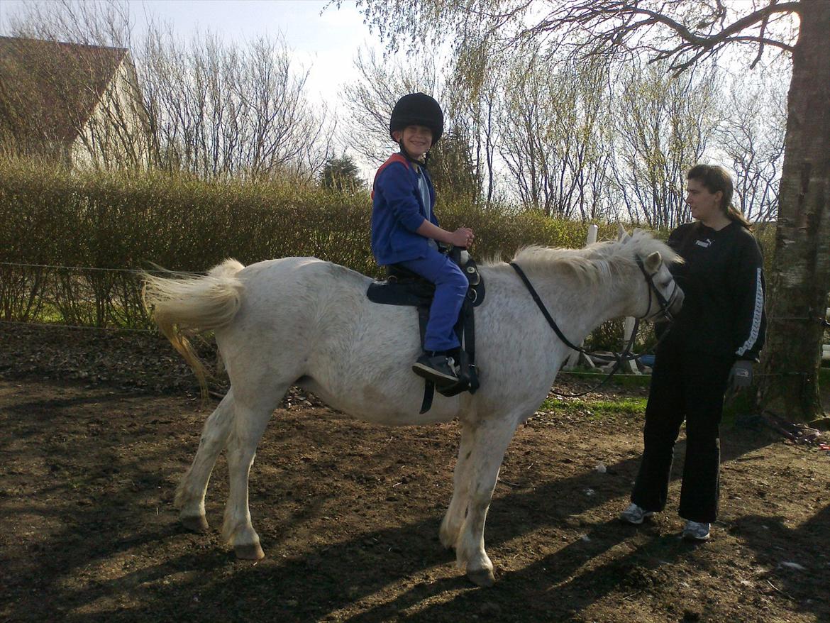 Anden særlig race Bella <3 Hvil i fred  <3 - min lille broe René er ved at lære western ridning og det her er 2. gang bella har en western sadel på  billede 14