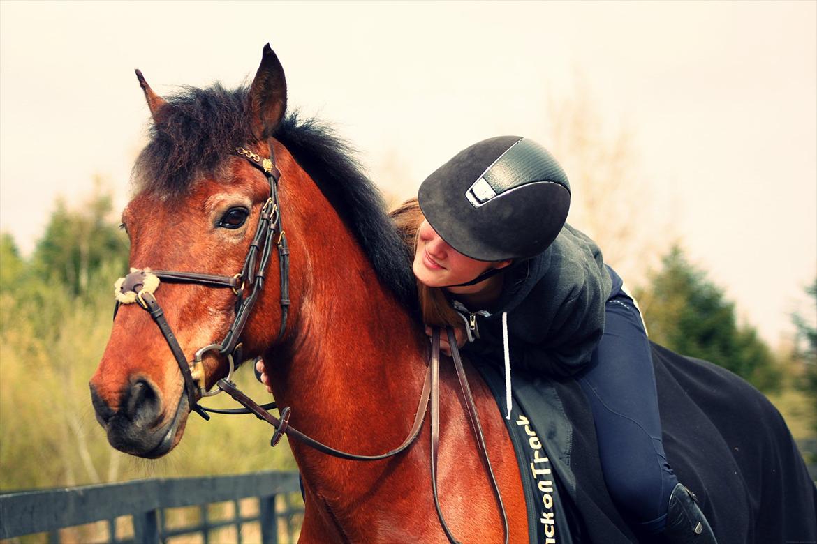 Anden særlig race Bip Bip - DRØMMEPONYEN - "if there ever comes a day, when we can't be together, keep me in your heart - I will stay there forever." billede 11