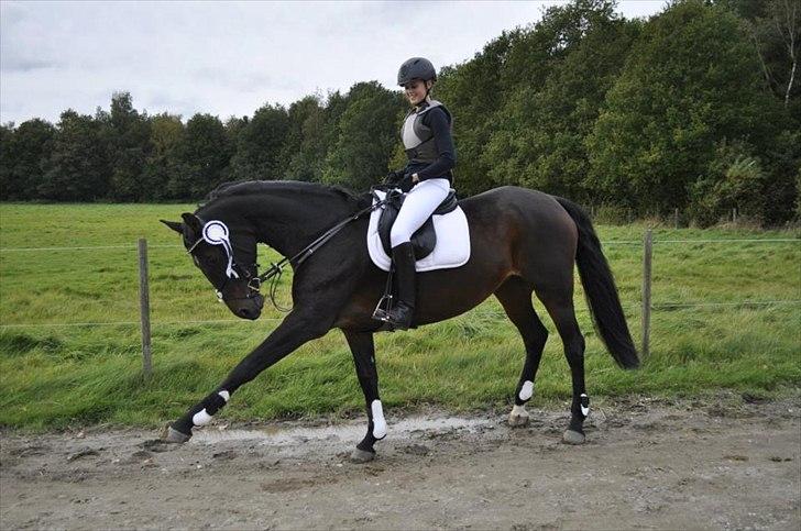 Oldenborg Aliczee billede 2