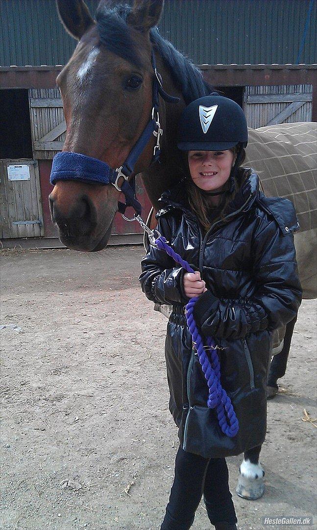 Anden særlig race Elipse - Min skat! :-*
Foto af: Christine billede 8