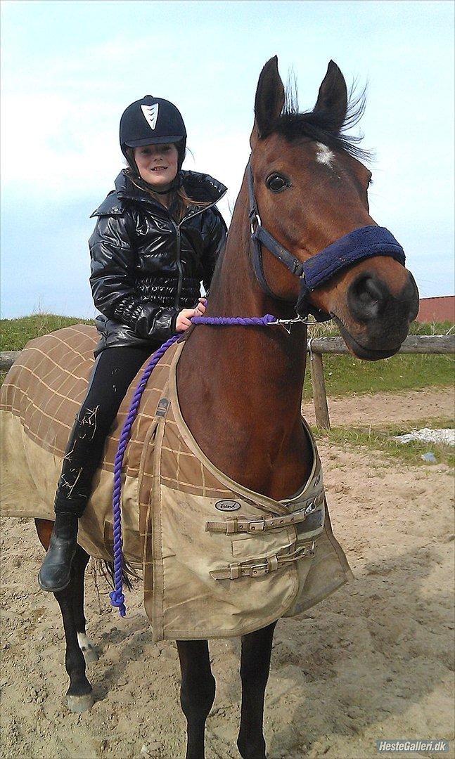 Anden særlig race Elipse - Foto af: Christine billede 11