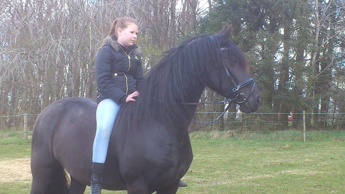 Frieser Joukje W. #SOLGT# billede 2