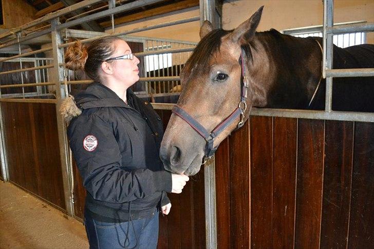 Trakehner Ferrero - Mig og Ferrero hygger billede 3