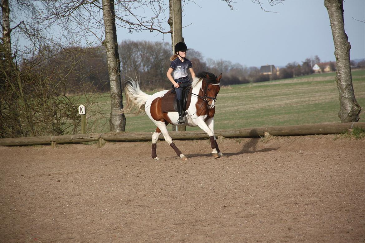 Anden særlig race Pretty<'3 - SOLGT billede 1